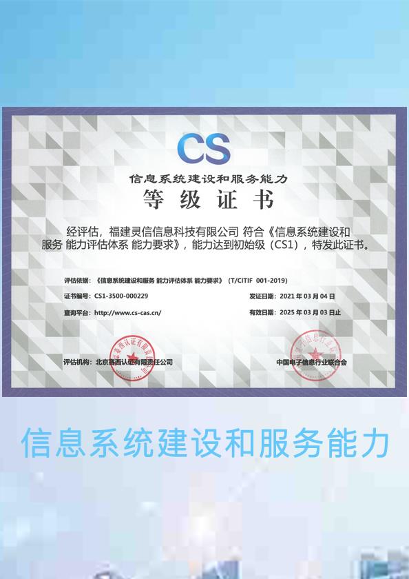 信息系統(tǒng)建設和服務能力